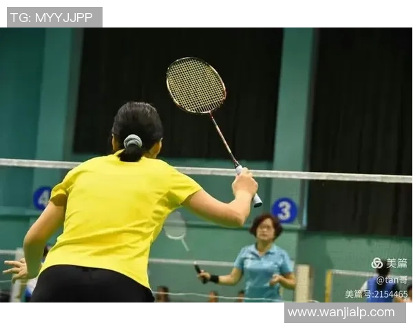 羽毛球传奇陈娜的成长之路与职业生涯回顾